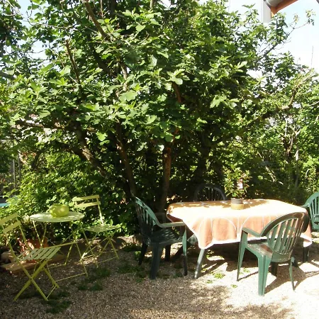B&B A L'ombre Des 2 Figuiers